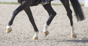 Diagnosing and Monitoring Injuries