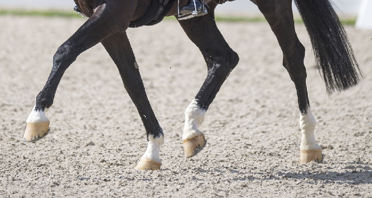 Diagnosing and Monitoring Injuries