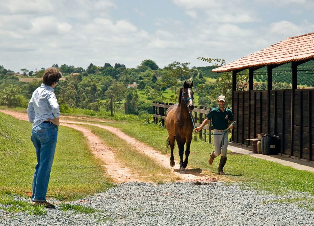 Lameness Part I: Owner Observation