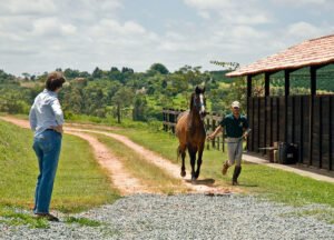 Lameness Part I: Owner Observation