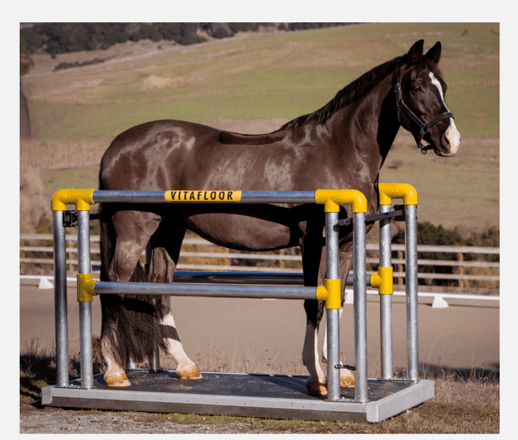 Vitafloor and Equine Tendon Announce Strategic Partnership to Revolutionize Equine Rehabilitation