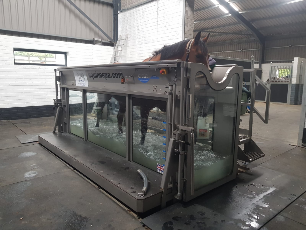 Horse in a Aqua treadmill located at the Irish Equine Rehabilitation and Fitness Centre 
