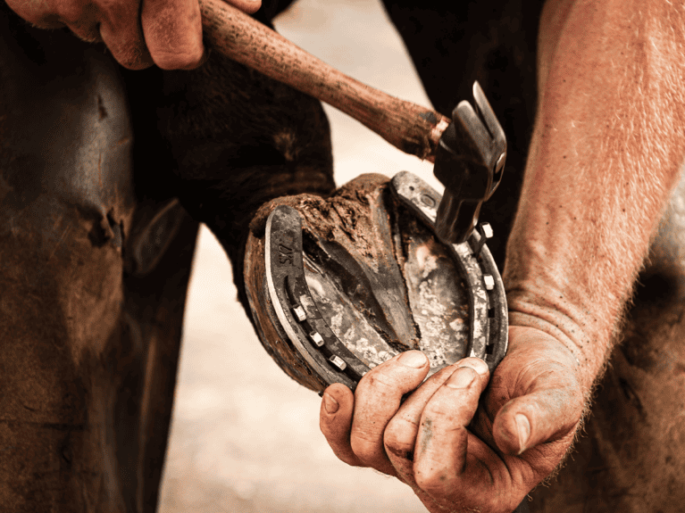 Corrective Shoeing