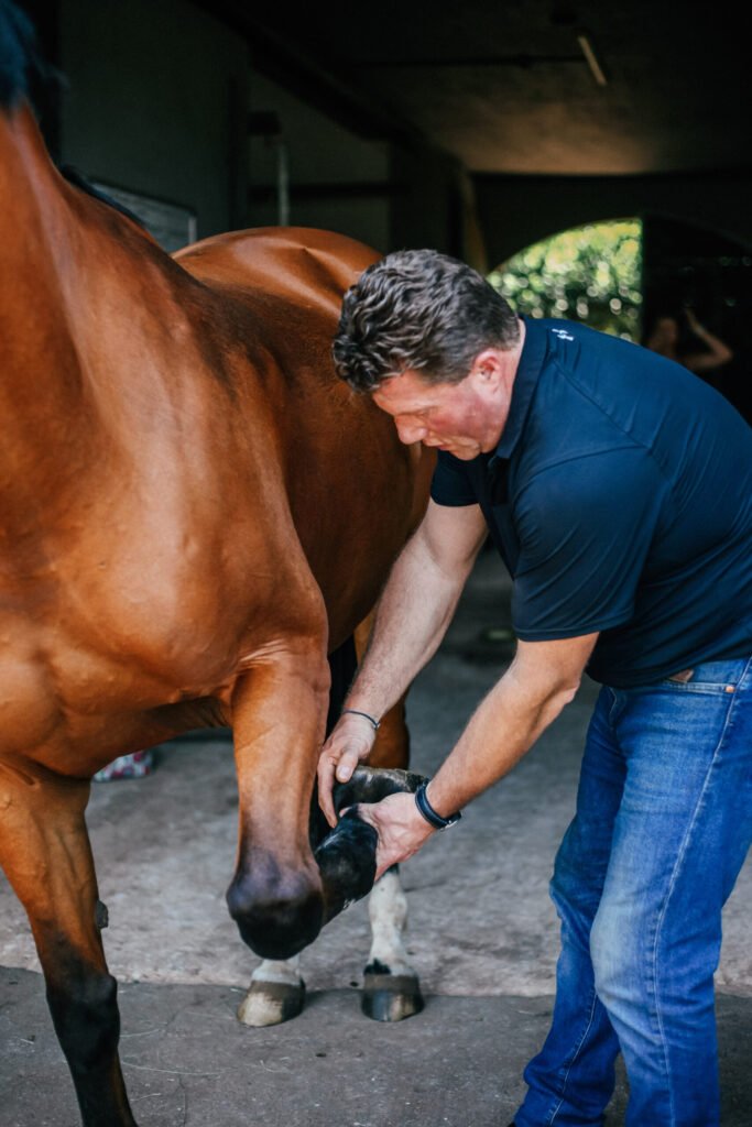 Dr. Henk Offereins examining a horse’s lower limb