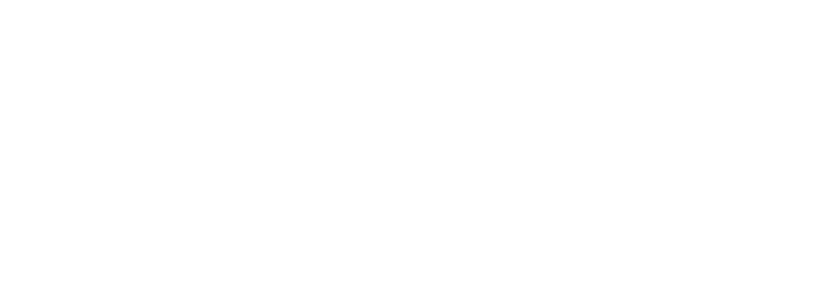 Equine Tendon